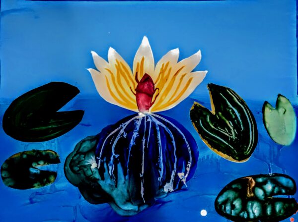 Reframe Psyche Water Lily